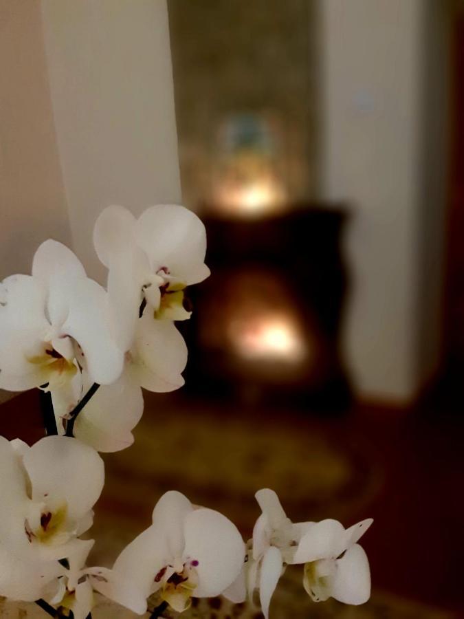 Apartament в центрі старого міста з окремим входом *